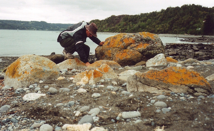 Beach near Quemchi