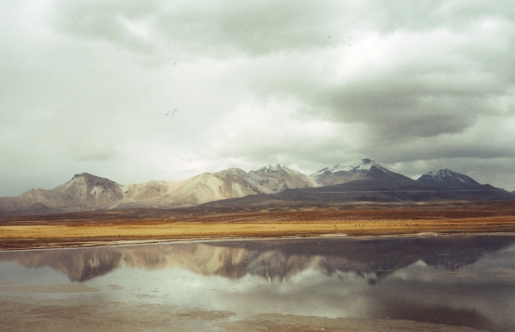 Nationaal Park Lauca