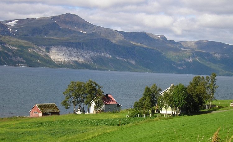 De Lyngfjellan Alpen