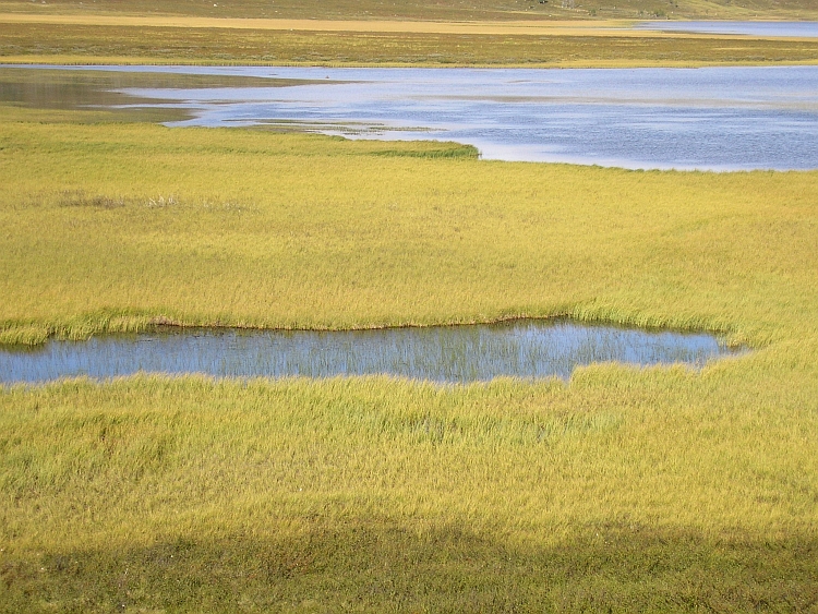 On the Skáiddeduottar plains