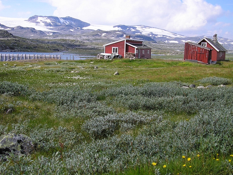 De Hardangerjøkulen ijskap langs de Rallarvegen