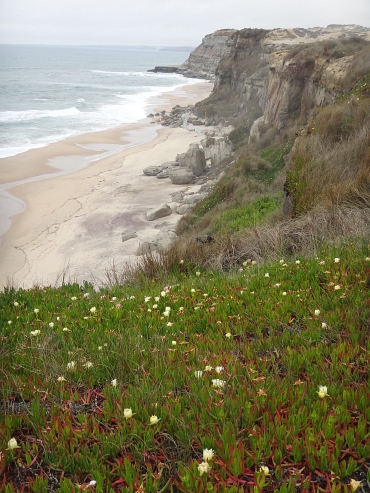 The cliff coast between Ericeira and Peniche