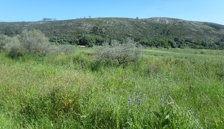 Serra dos Candeeiros