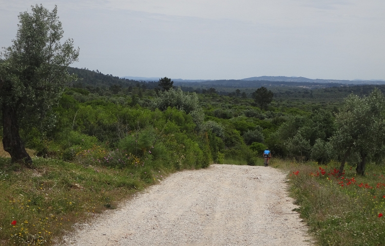 Between Fátima and Tomar