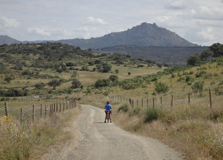 On the road to Monsanto