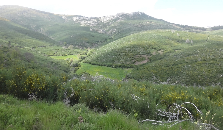 Serra de Estrela