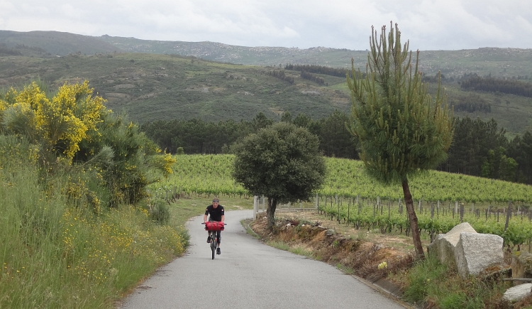 Marco in te Beira Alta