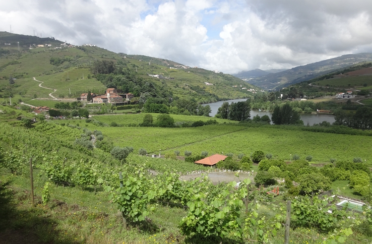 The Port area between Peso da Régua and Cinfães