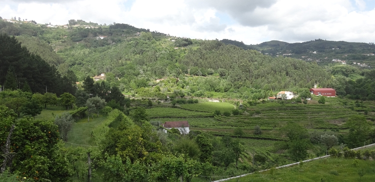 Landscape near Marco de Canaveses