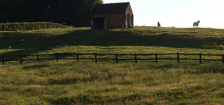 Peaceful scenery near Kemmel