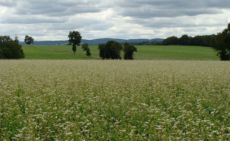 The hills of Central France