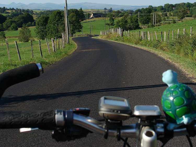 Afdaling van een van de vele mooie weggetjes in de Cantal