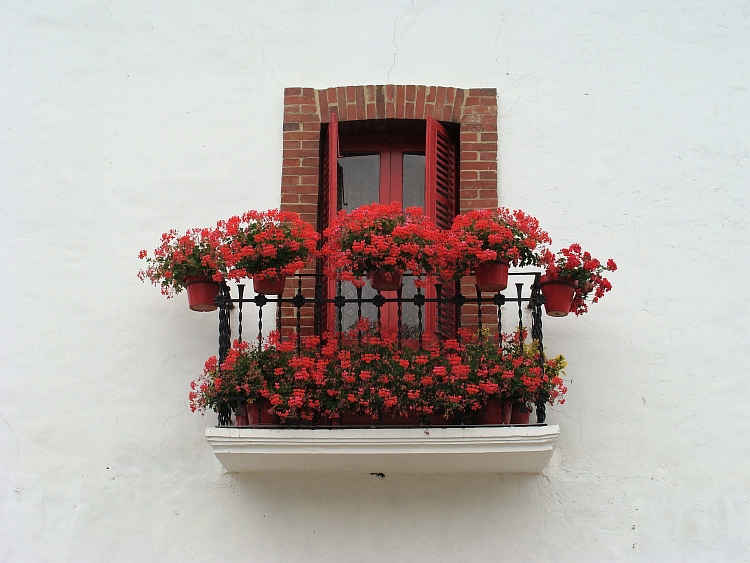 Traditional Basque house in Alkotz, Navarra