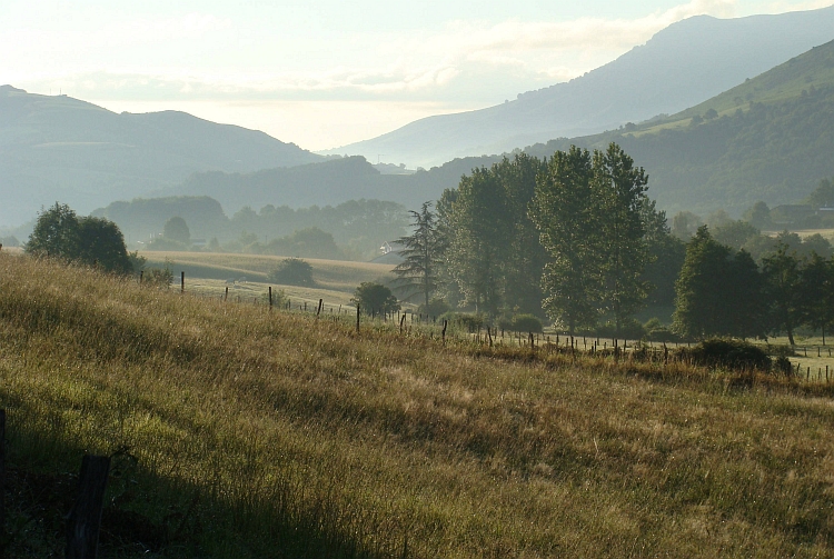 Morgenstond in de Vallei van de Nive