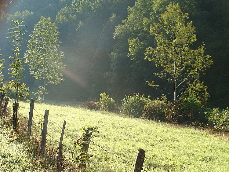 Morning light on the ascent of the Col de Marie-Blanque