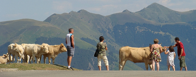 De Col d'Aspin