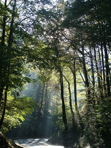 Op de klim van de Portet d'Aspet