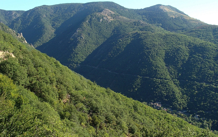 Landscape on the way to the Mont Aigoual