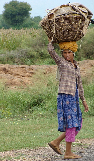 Child with basket, Sariska