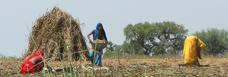 De kleurrijke vrouwen van Rajasthan. Foto van Willem Hoffmans