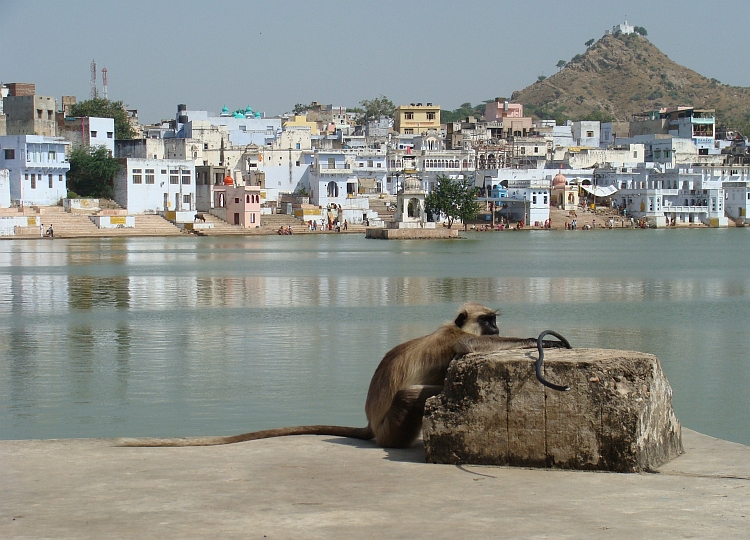 Pushkar, India