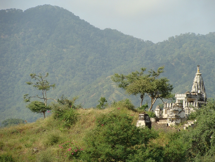 Tempel in Ranakpur