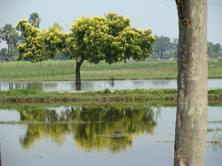 Between Varanasi and Gorakhpur