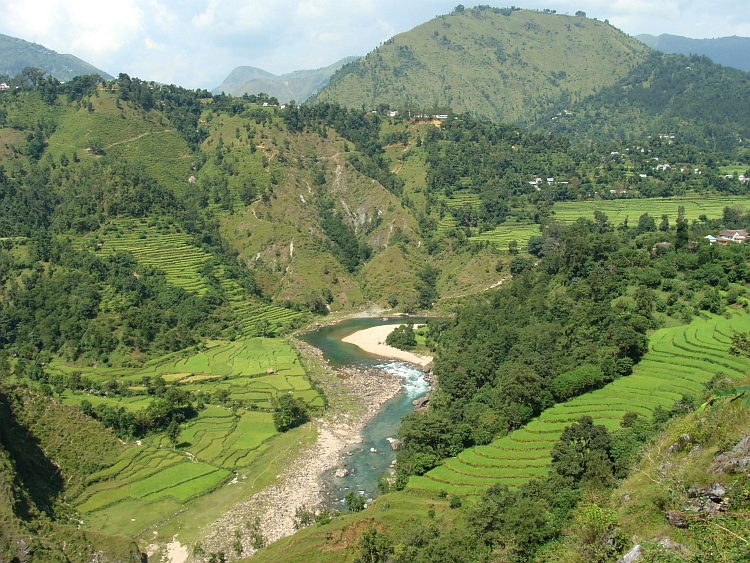 Rice fields in the Himalayan hills