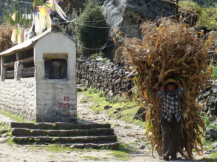 A porter and a line of prayer wheels