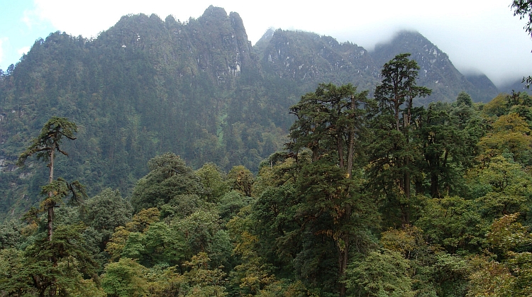 Landscape between Danagyu and Thanchok