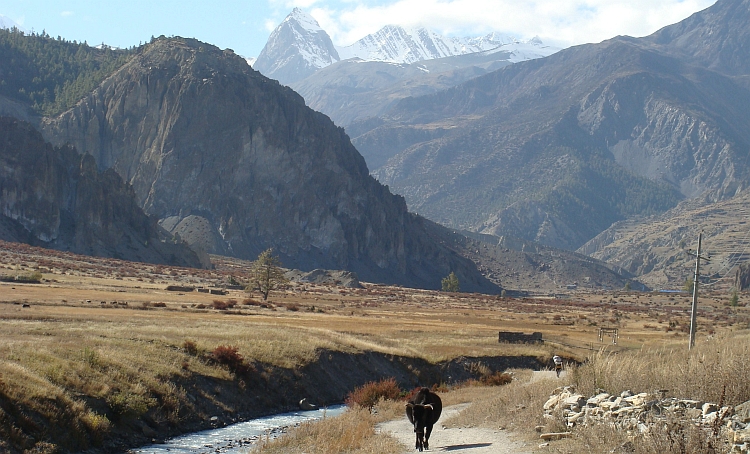 De vallei van de Marsyangdi, op de weg naar Manang