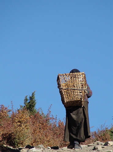 Woman with basket