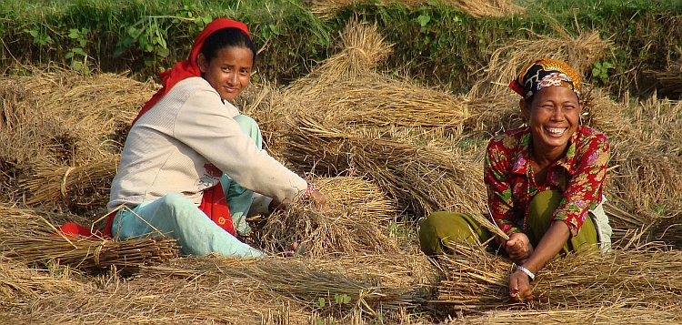 Women on the land, Chitwan