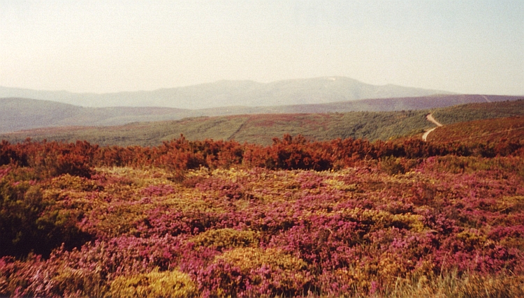 De Montes de León