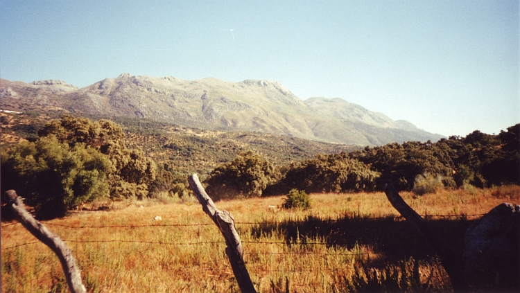 Landscape near Cortes de la Frontera