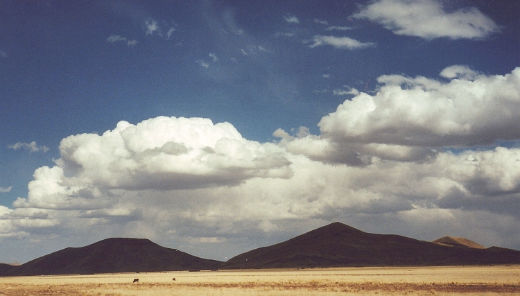 Altiplano Panorama